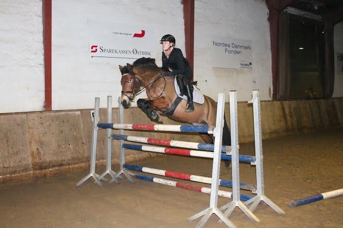 Anden særlig race kiara - Spring på stjernen <3 billede 11