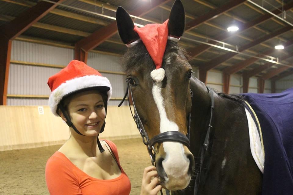 Dansk Varmblod Frydenssangs Altesse billede 8