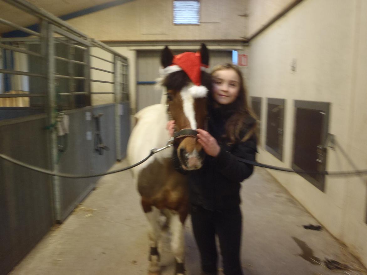 Pinto Gaisha billede 20