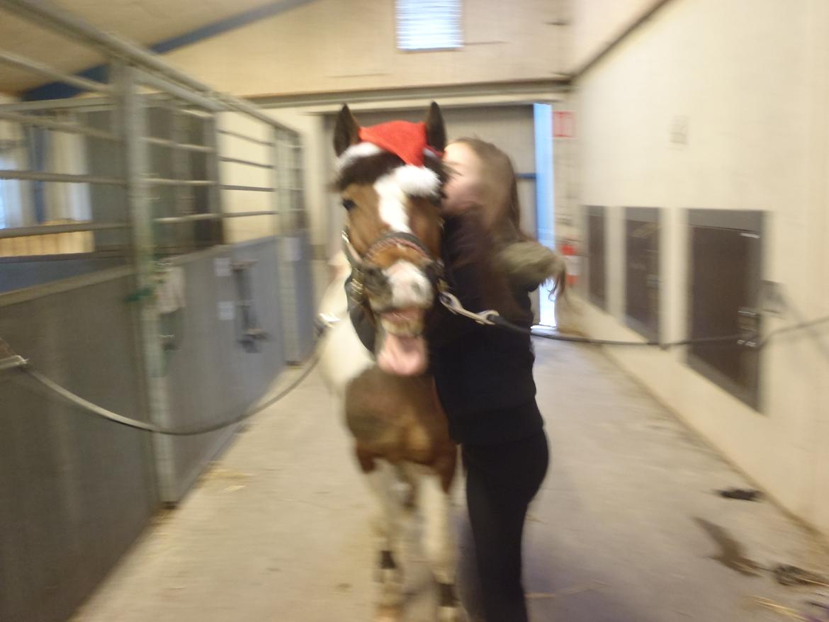 Pinto Gaisha billede 21