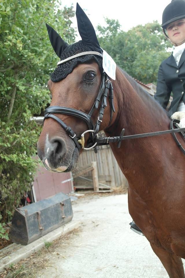 DSP Ambrosius A.M. billede 9