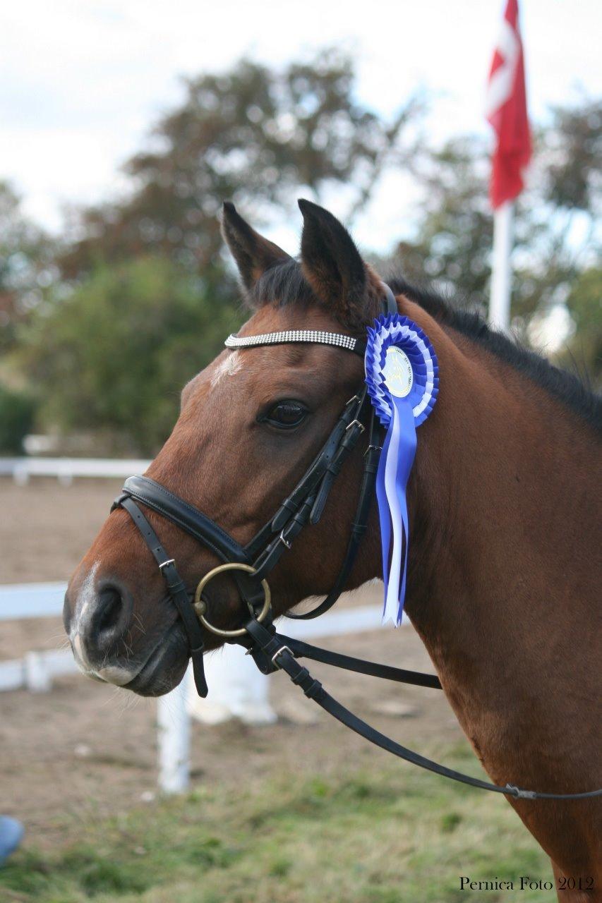 DSP Ambrosius A.M. billede 10