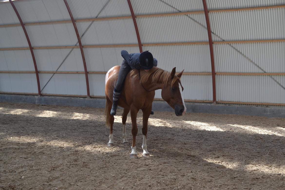 Anden særlig race Aichah - Vi hygger bare <3 billede 26