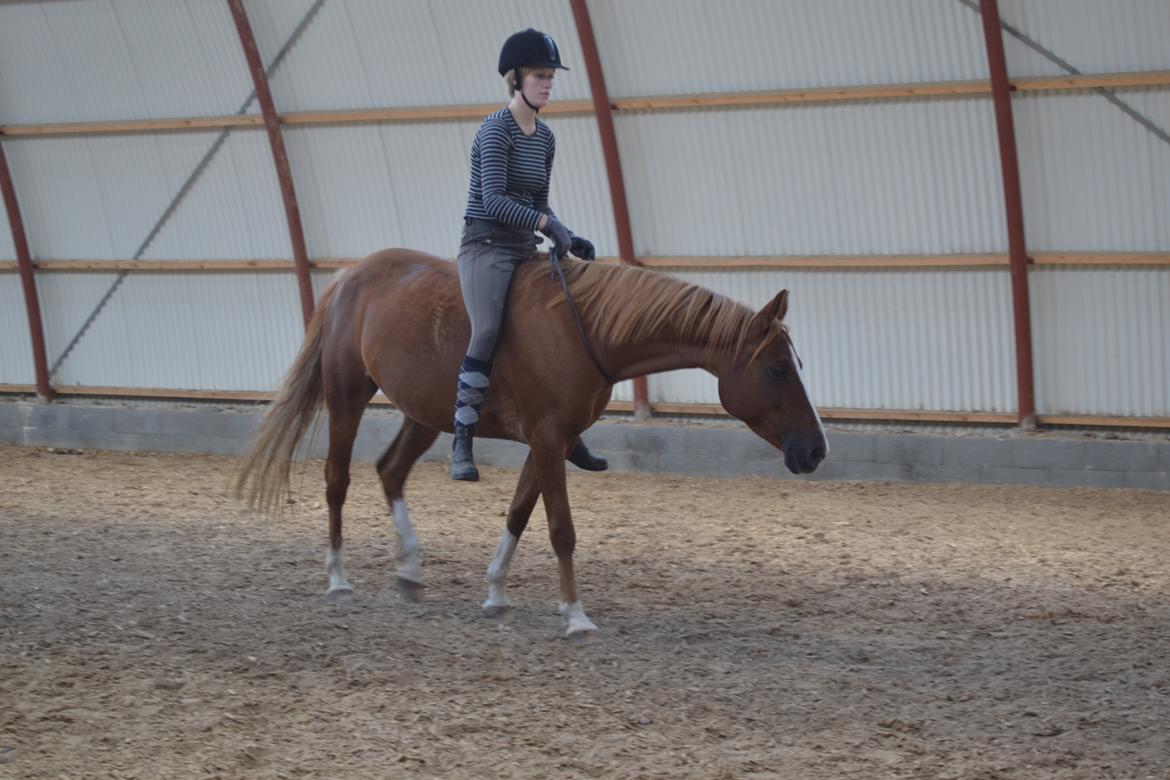 Anden særlig race Aichah - I love U! <3 billede 28