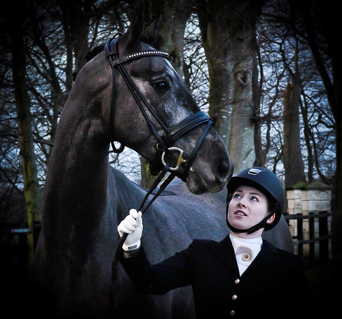 Dansk Varmblod Kirkelodgaard's Chivas billede 1