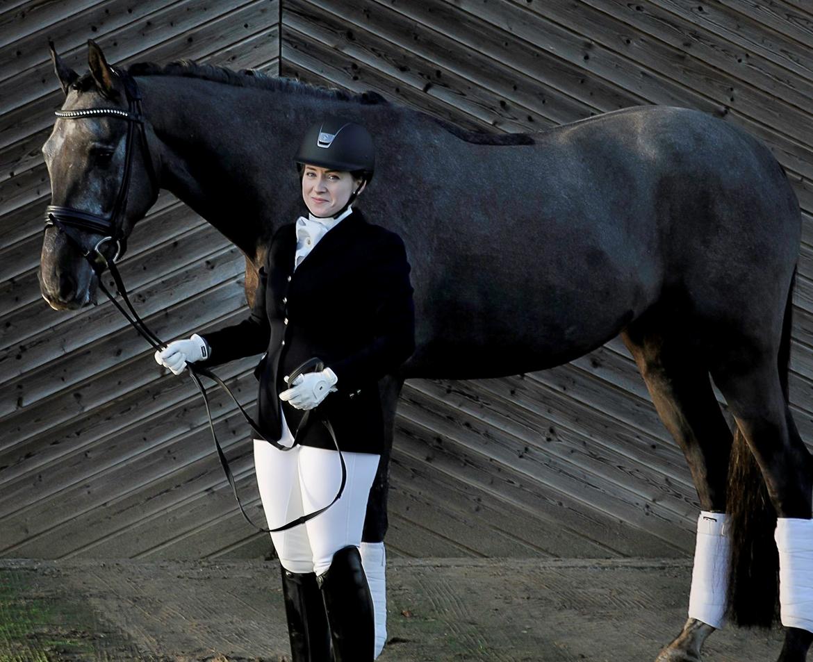 Dansk Varmblod Kirkelodgaard's Chivas billede 4