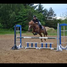 Anden særlig race Duchess  ** R.I.P **