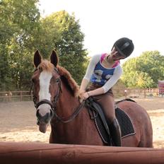 DSP Fæbrogård's SIF! *Komunemester 2014*