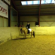 Anden særlig race Bali 