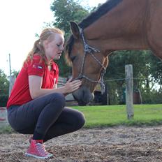 New Forest Vangsgaard's Vanity [Tidl. part]