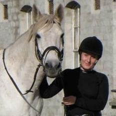 Anden særlig race Sonny