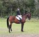Oldenborg Chero