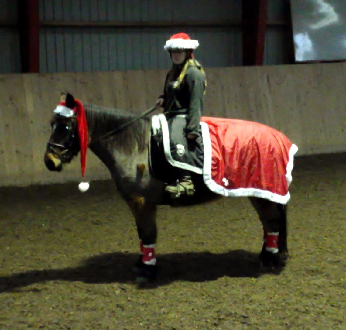 Anden særlig race Beauty - det er ved at være længe siden :-) billede 14