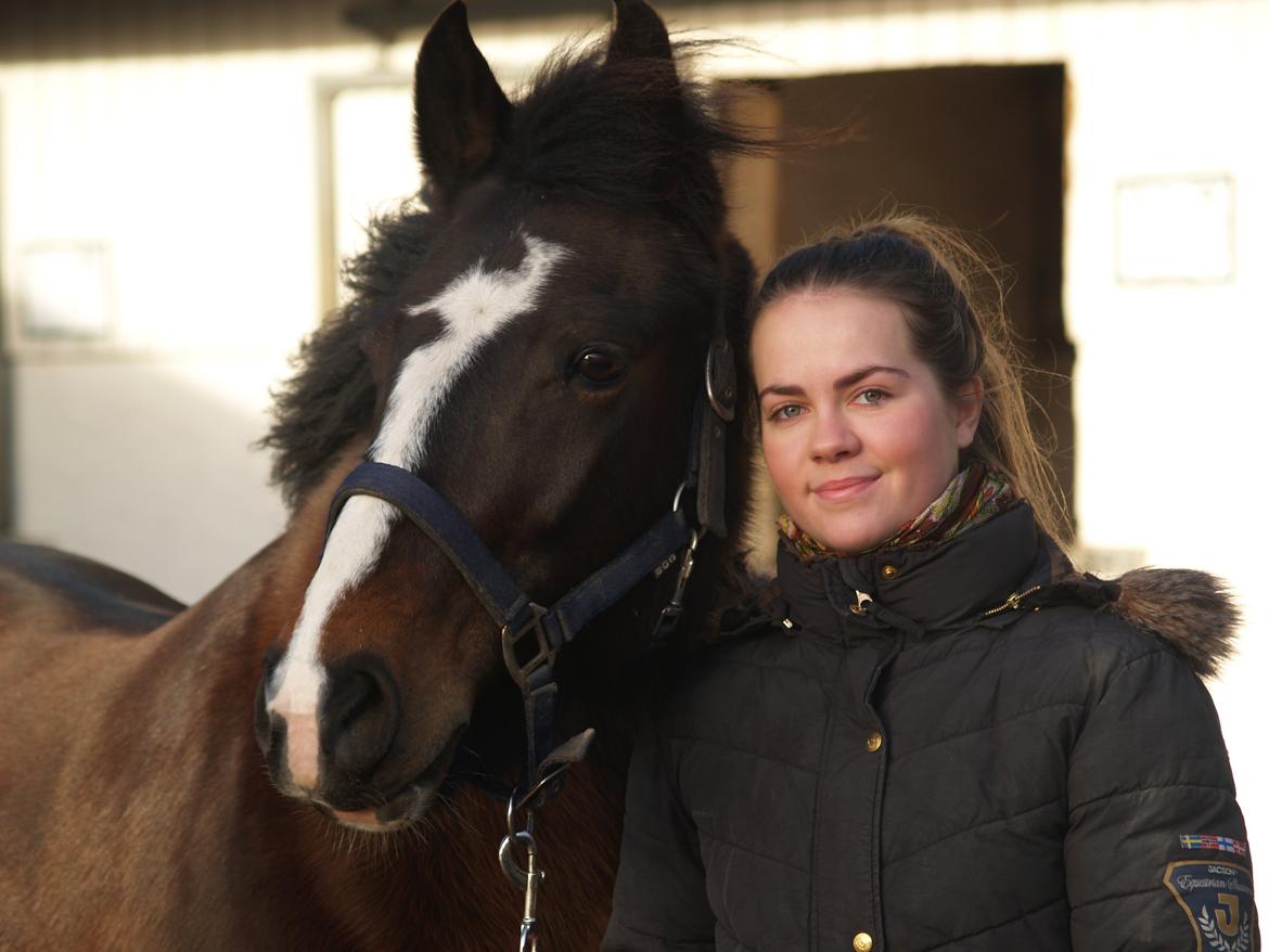 New Forest Equile's Maurita - Dejligste Mau!! billede 20