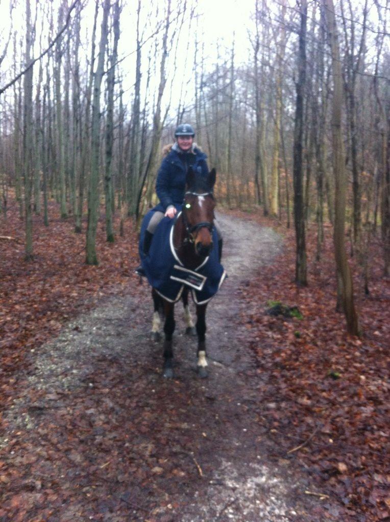 Dansk Varmblod Kronborgdiges Flika. ( låne hest) billede 14