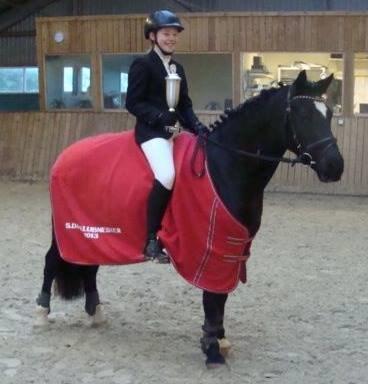 Welsh Cob (sec D) Lesto Havannah Klubmester 2013! - Klubmester i spring 2013!  billede 4