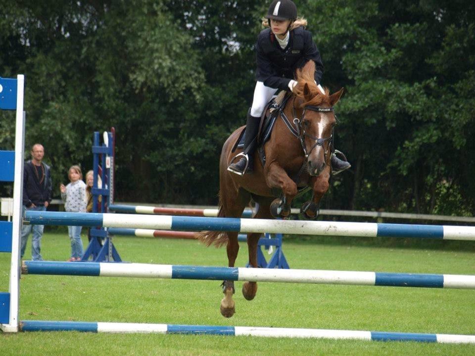 Anden særlig race Duchess  ** R.I.P ** - Sidste stævne, med 1 plads:D billede 4