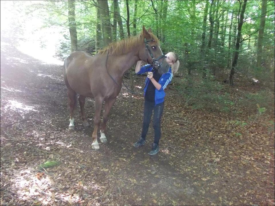 Anden særlig race Duchess  ** R.I.P ** - Første Sommer med hende:) billede 9