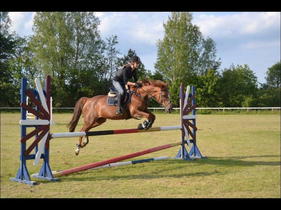 Anden særlig race Duchess  ** R.I.P ** - Spring time ved Christian  billede 14