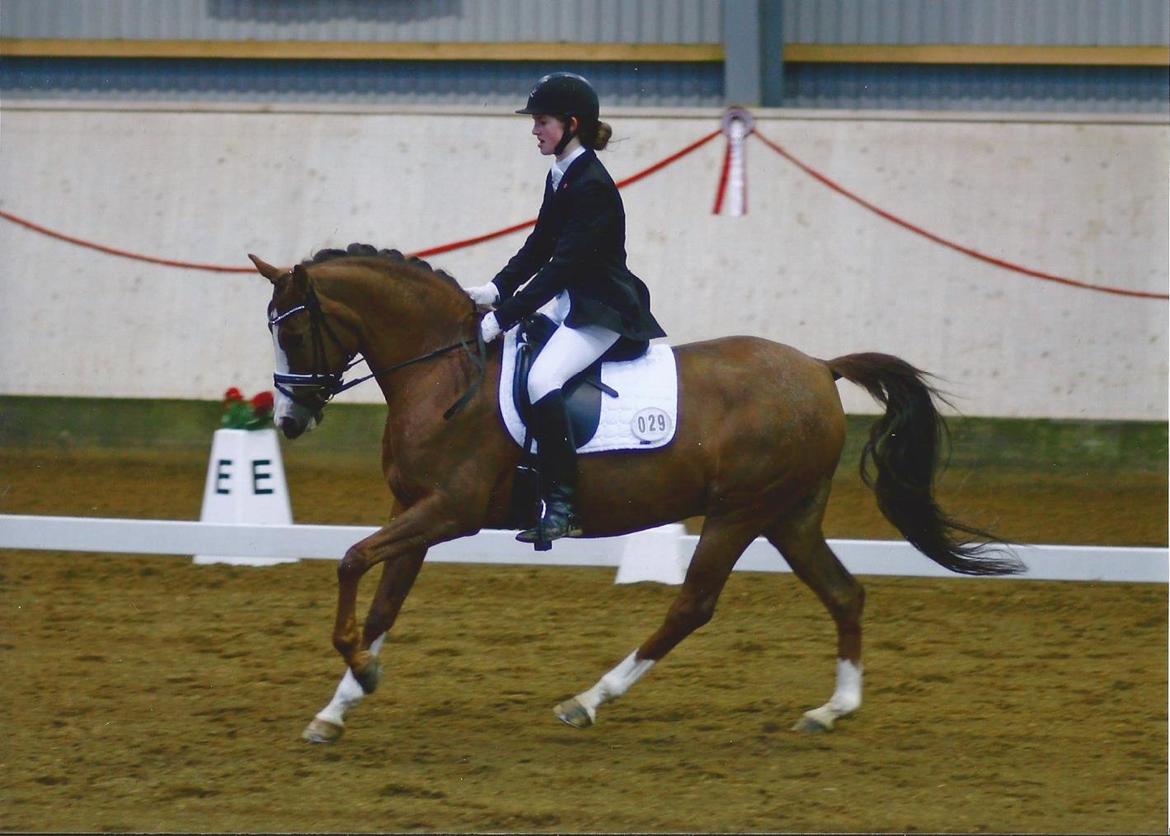 Hollandsk Sportspony Orchid's Marinja B-pony - Da vi blev B-ekvipage <3 billede 14