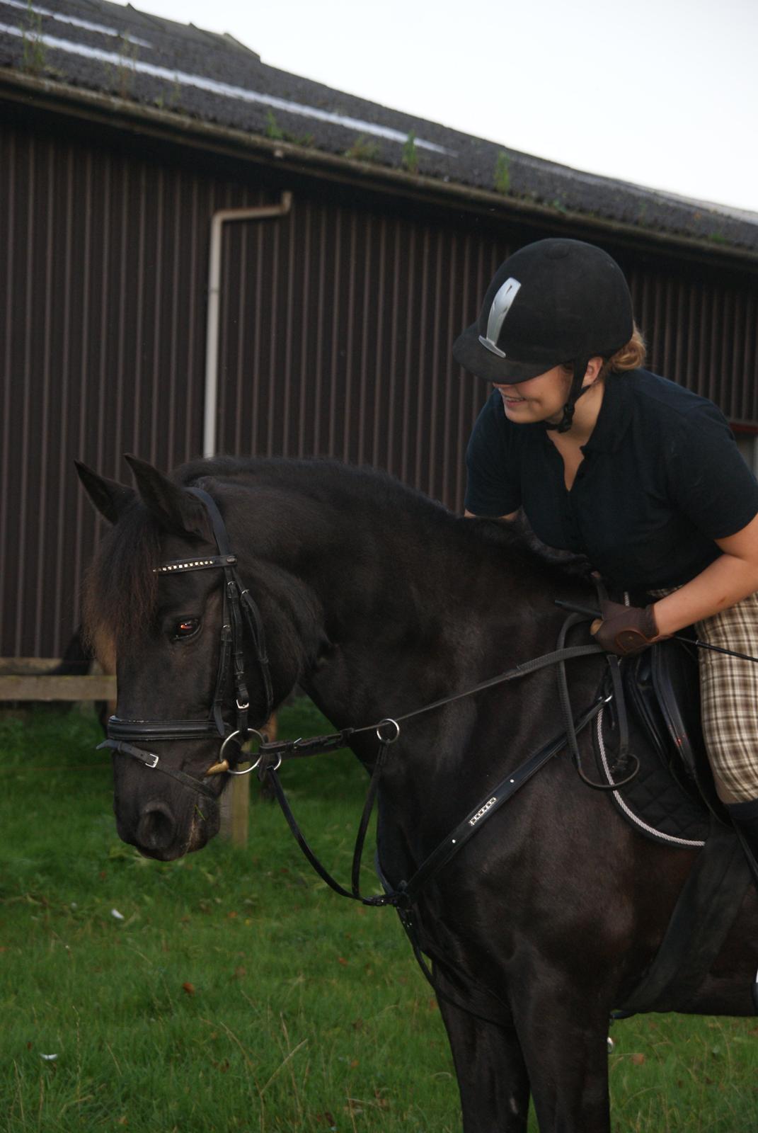 Anden særlig race Chico (Oldenborg/DSP) billede 26