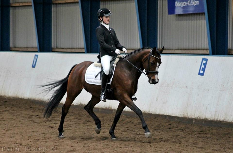 DSP Lykkehøjs Sophee **B-pony** billede 6