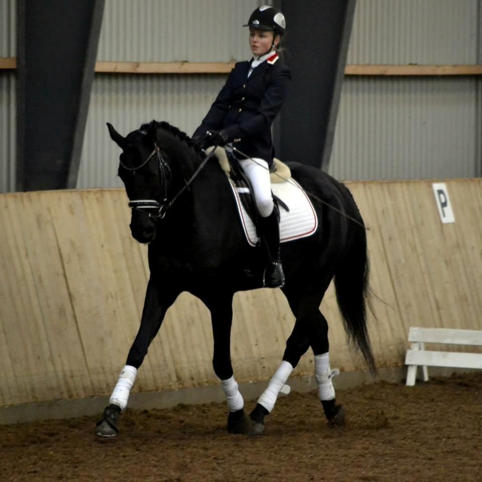 Dansk Varmblod LUTHERS TEQUILA SUNRISE - Sunny i stævnedresset. 
Foto: Anne Sofie Vestergaard billede 17