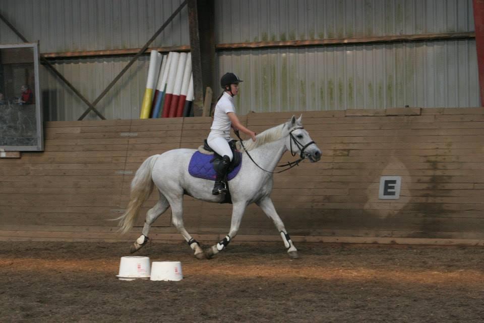 Connemara Hesteklewa Day Dream (day) - traver stjernen af efter lige have blevet klubmester i ringridning og ponygames! <3 2013 billede 19