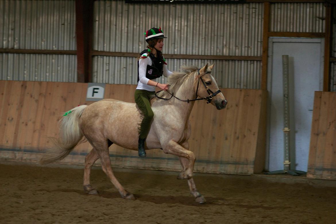 Hollandsk Sportspony Elsa (Eliza) - Lånepony - En lille indianer og en lille indianerhest <3 billede 17