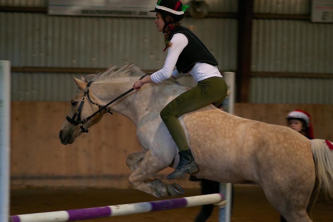 Hollandsk Sportspony Elsa (Eliza) - Lånepony - Julestævne - udklædt som indianer billede 7