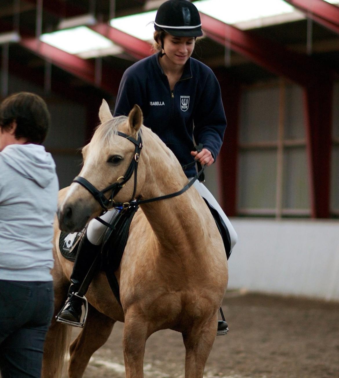 Hollandsk Sportspony Elsa (Eliza) - Lånepony billede 18