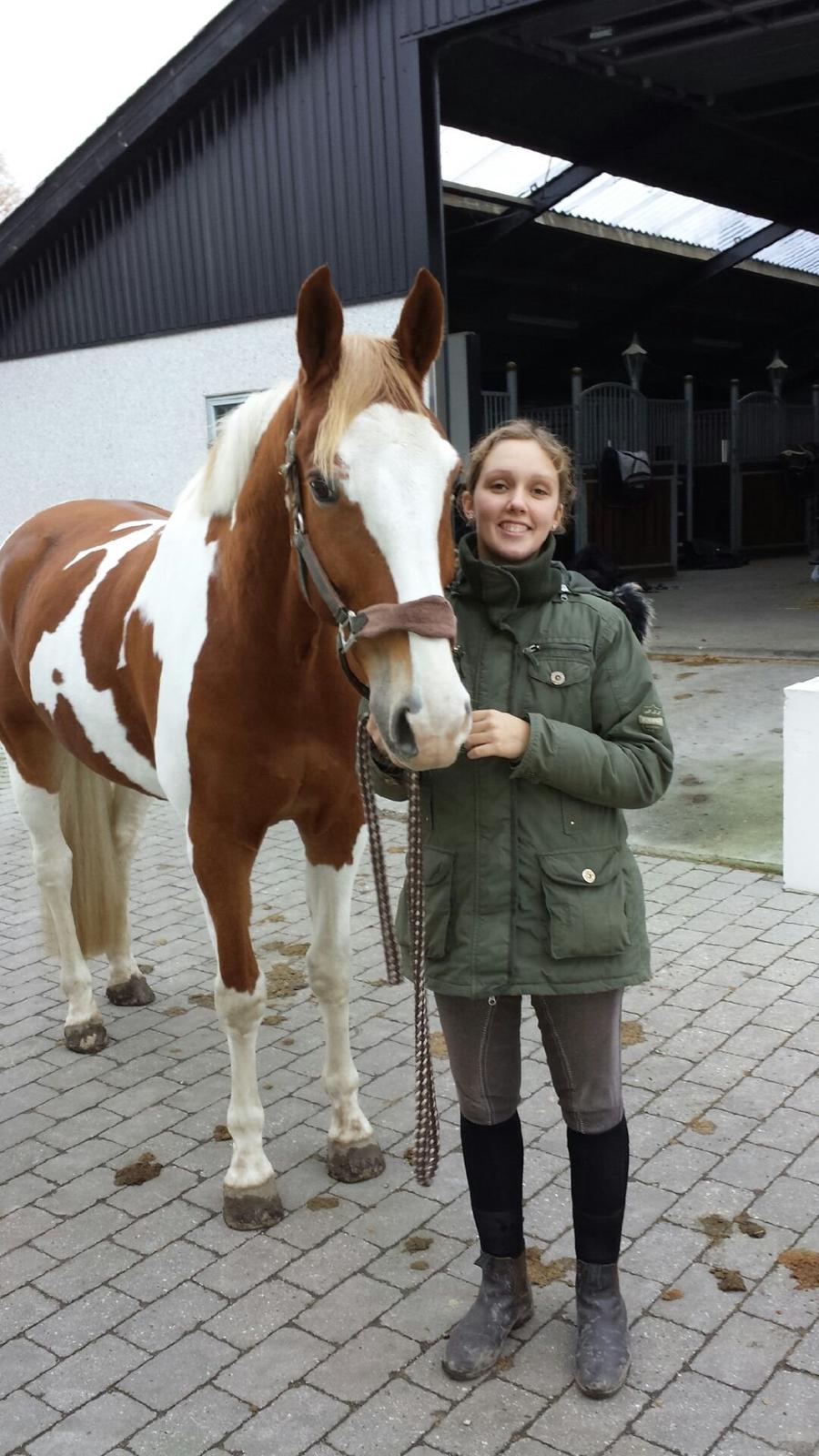 Pinto Solheimgaards Margó billede 13