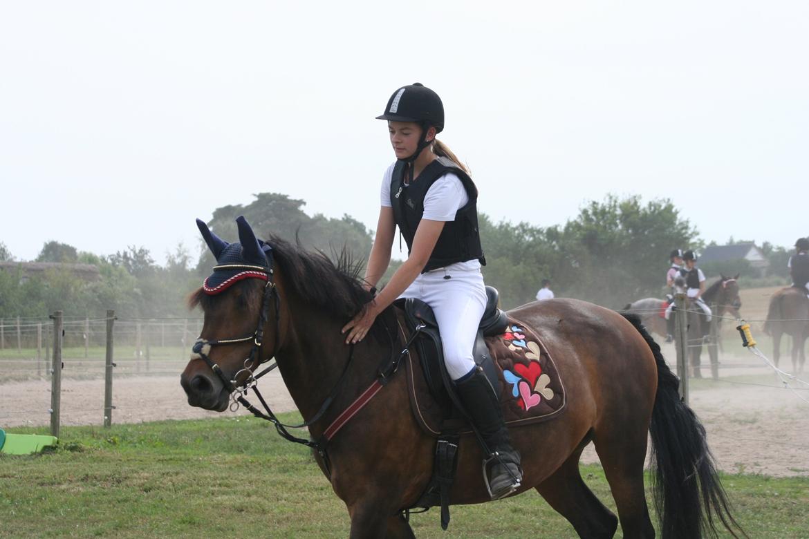 Anden særlig race Luna - Tak fordi i så med læg gerne en kommentar og en bedømmelse ;) billede 8