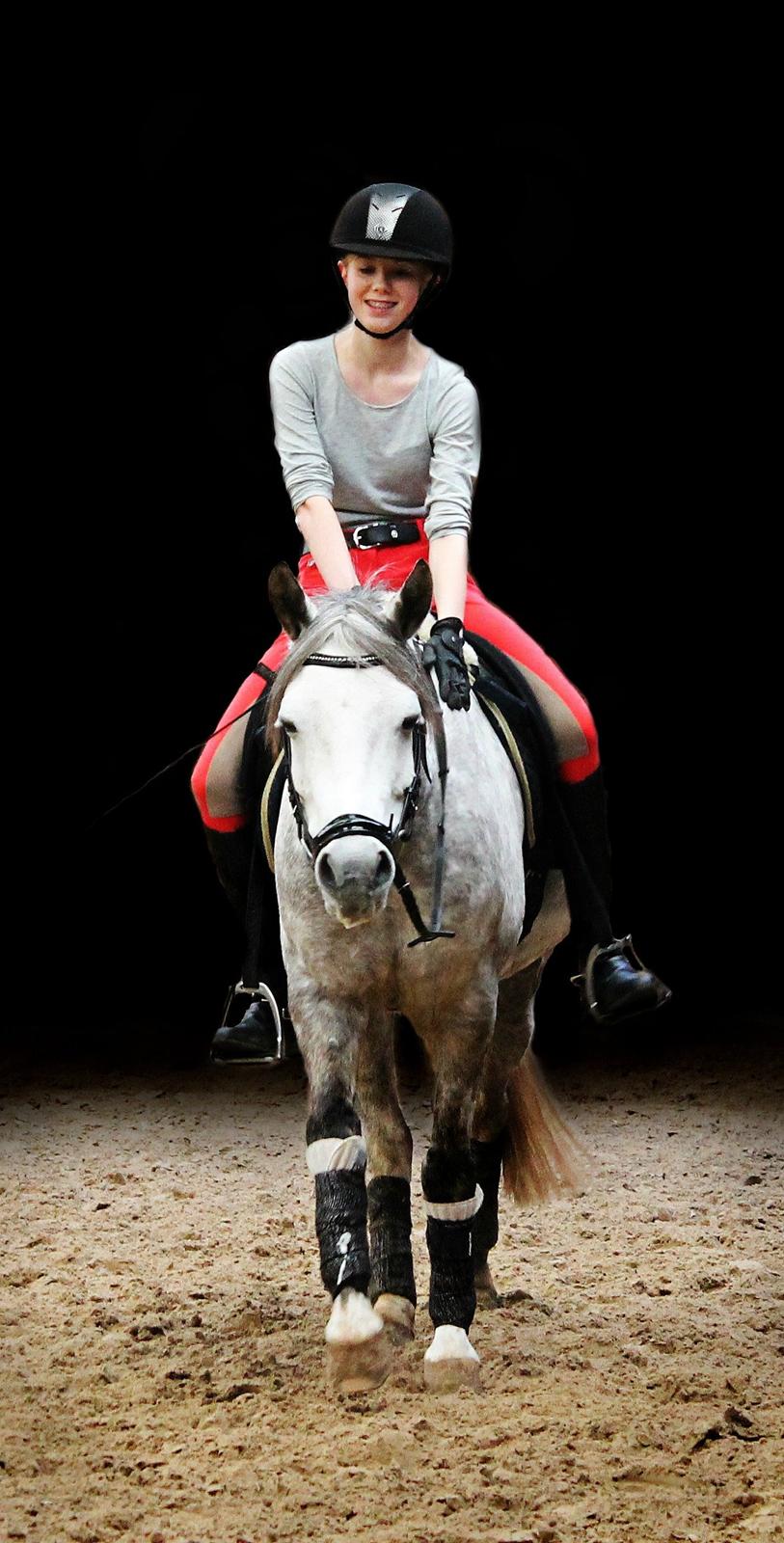 Anden særlig race CHEVAL B-pony - Verdens bedste ven <3
Redigering - Mig  billede 17