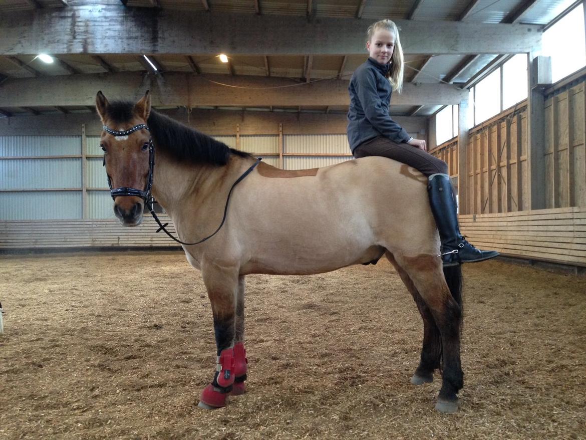 Anden særlig race Bayli  - Every time I smile, is when I think at you <3 billede 9