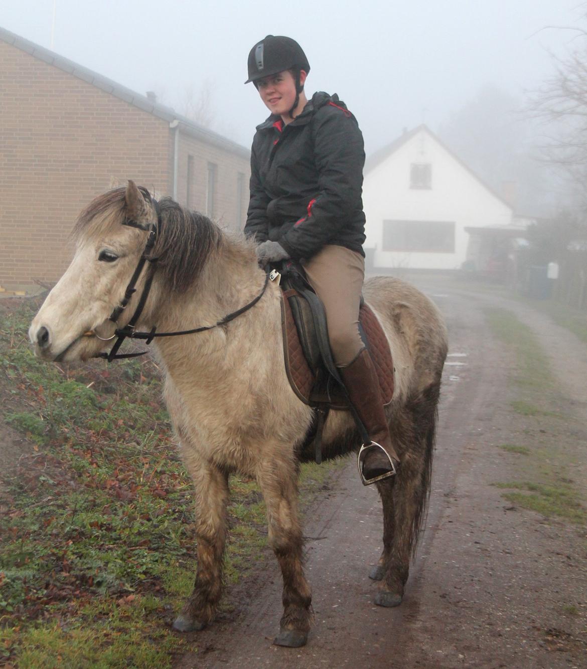 Islænder Ildur billede 2