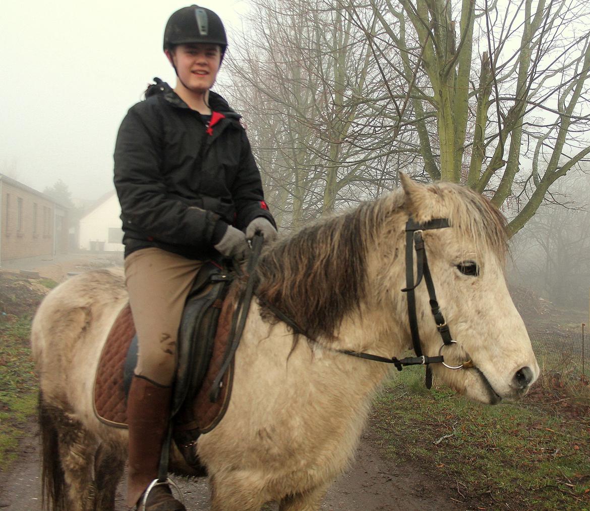 Islænder Ildur billede 4