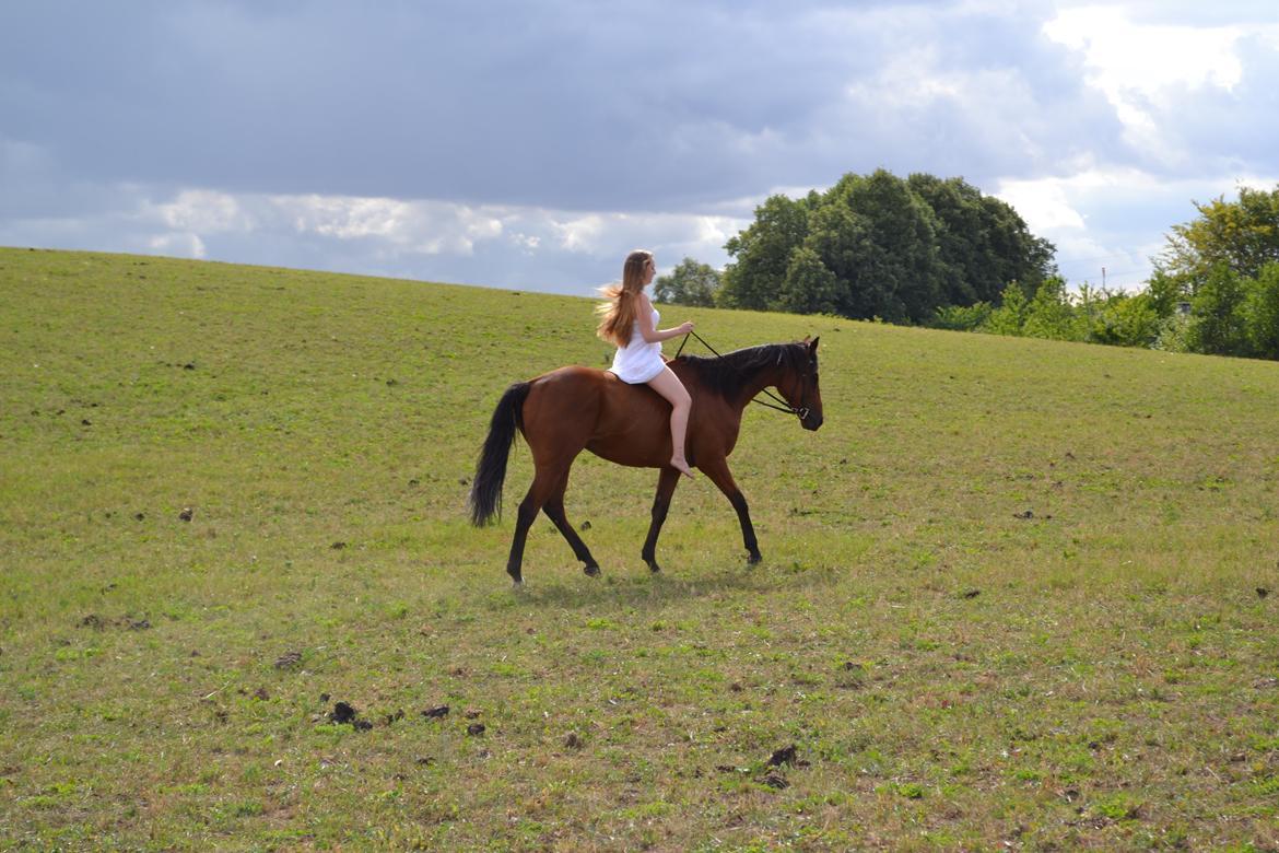 Anden særlig race Leonardo (Line Prince) - Velkommen til Leo´s profil :D billede 1