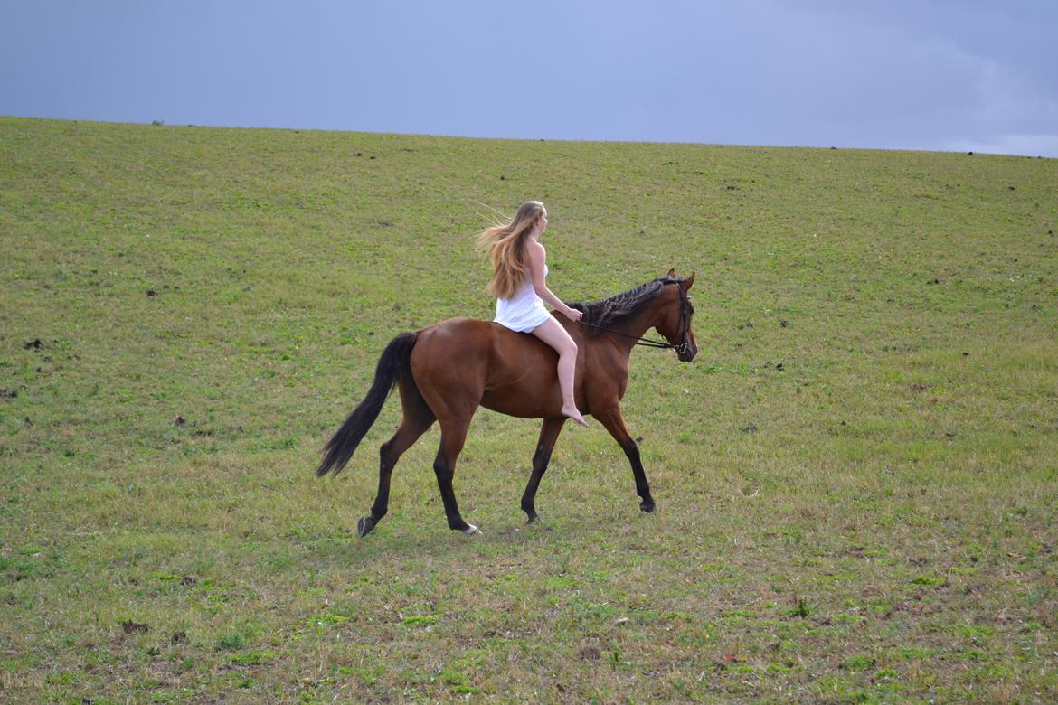 Anden særlig race Leonardo (Line Prince) - I´m only myself when I´m with you!
Fotograf: Farmand! <3 billede 2