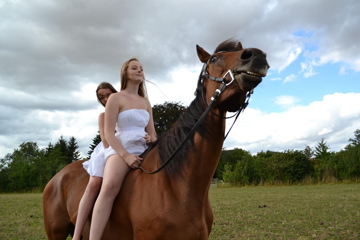 Anden særlig race Leonardo (Line Prince) - Hej med dig!
Fotograf: Farmand! <3 billede 4