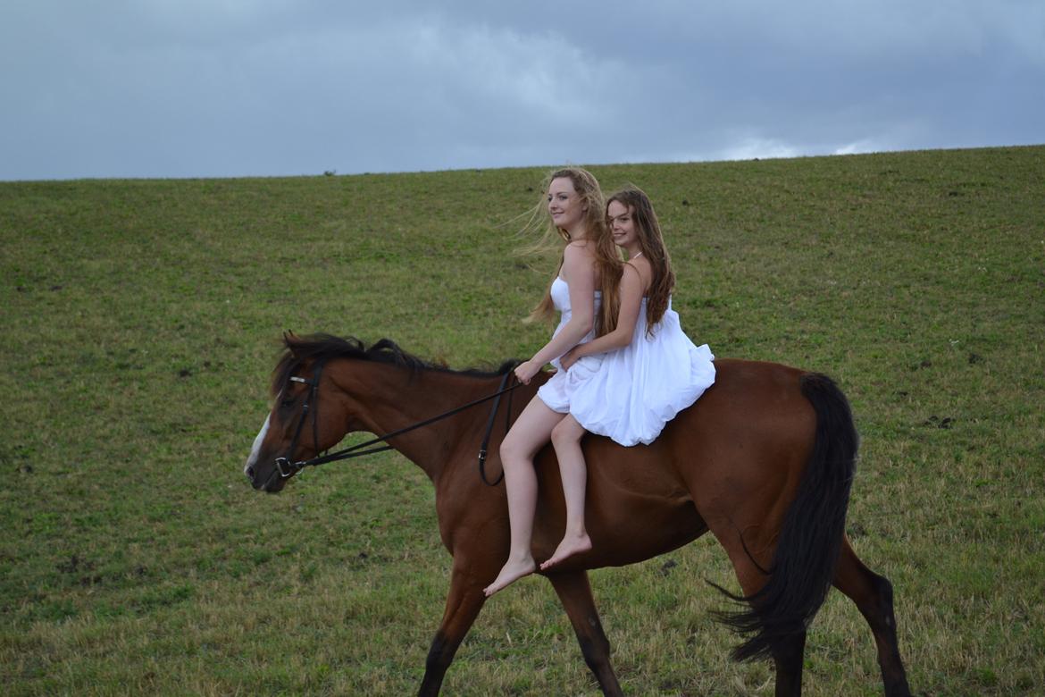 Anden særlig race Leonardo (Line Prince) - Young,wild and free <3
Fotograf: Farmand! <3 billede 5