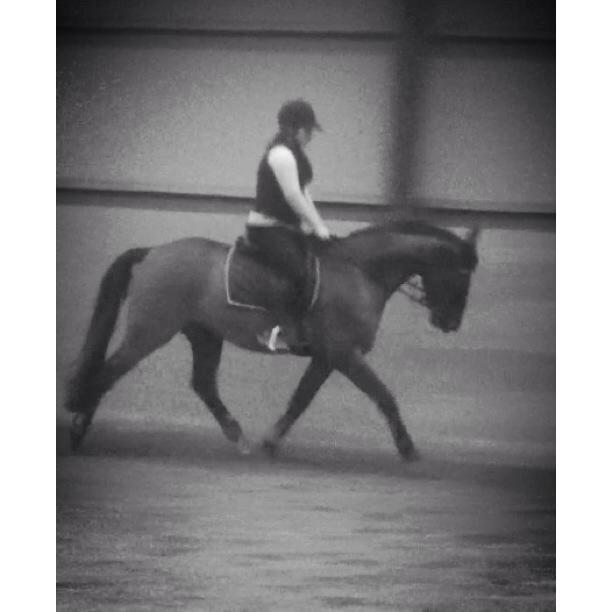 Anden særlig race Playboy billede 3