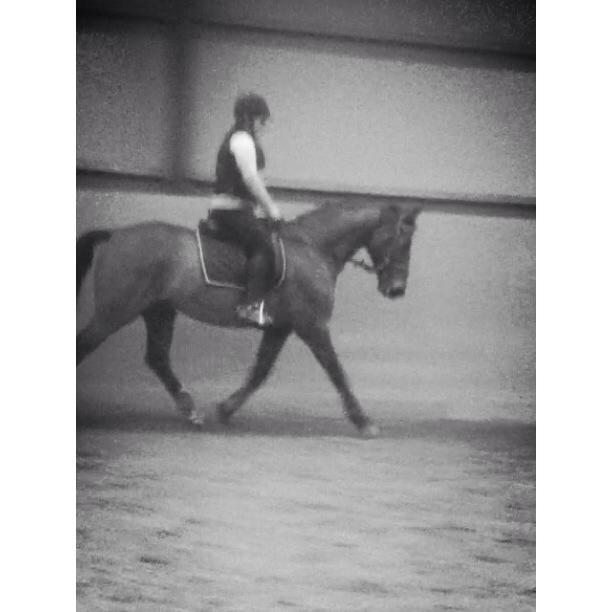 Anden særlig race Playboy billede 4