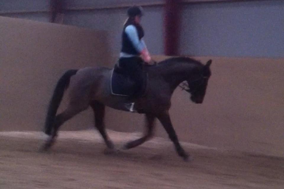 Anden særlig race Playboy billede 5