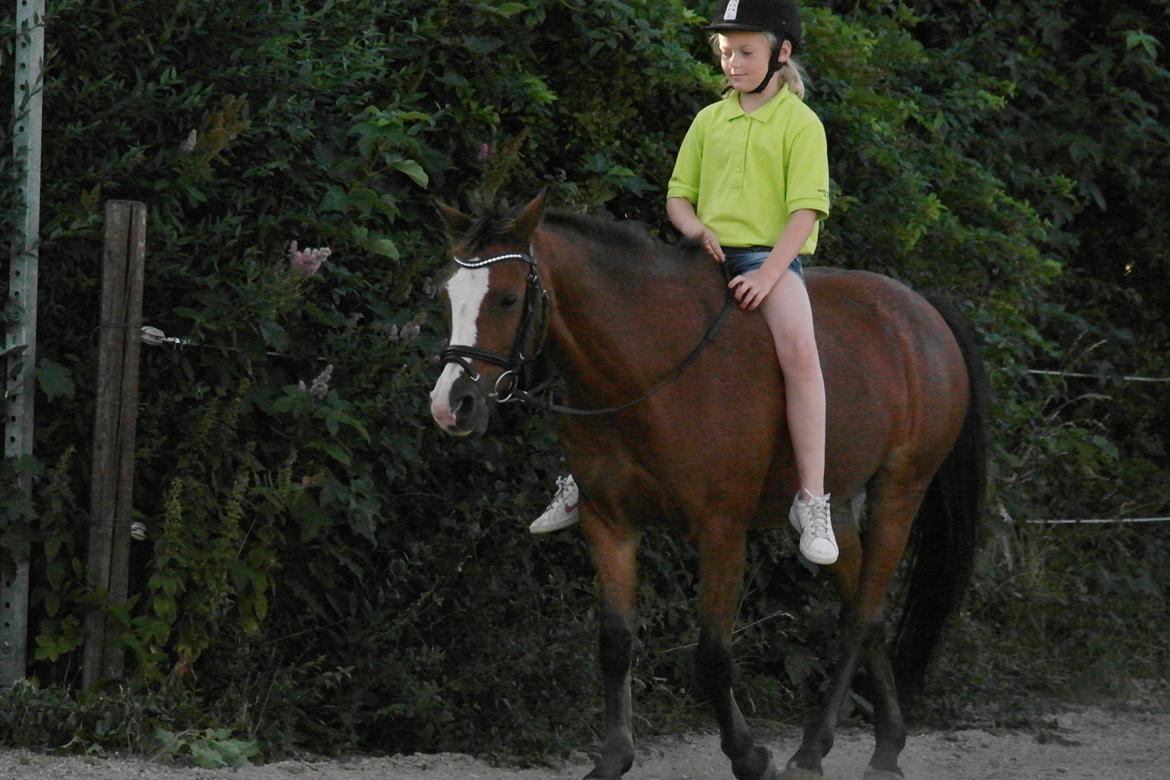 Anden særlig race Lady - Lady og josefine<3 billede 18