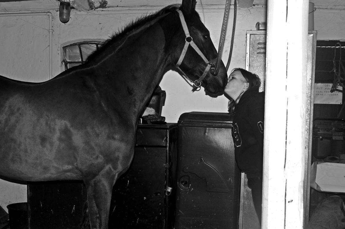 Anden særlig race Playboy billede 8