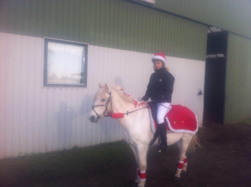 Anden særlig race Kikko - Juleoptog<3 D.1-12/2013<3 billede 11