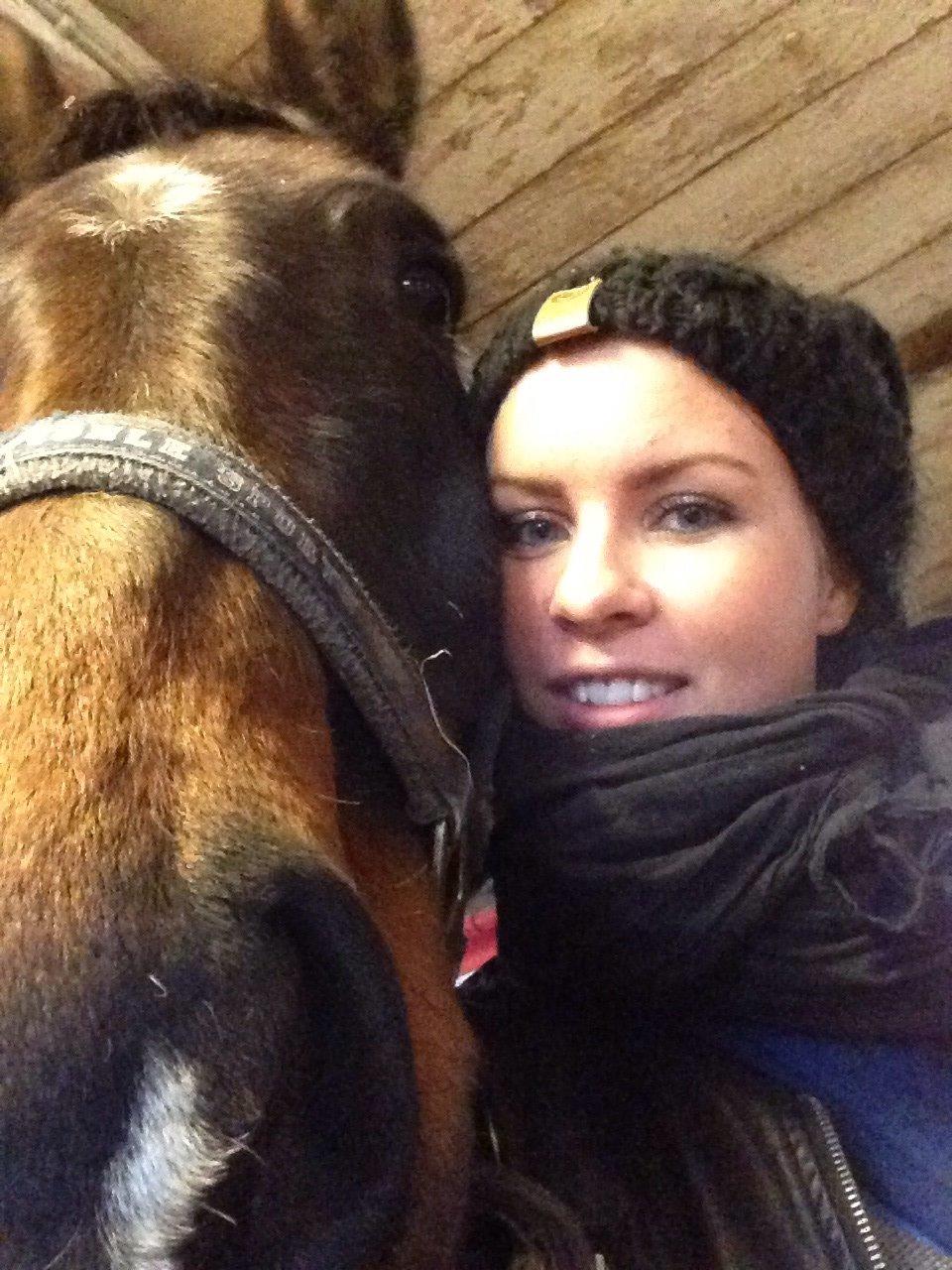 Dansk Varmblod Bakkegaardens Aslan (Tabasco) - Så fik vi juleferie 20/12-2013 billede 4