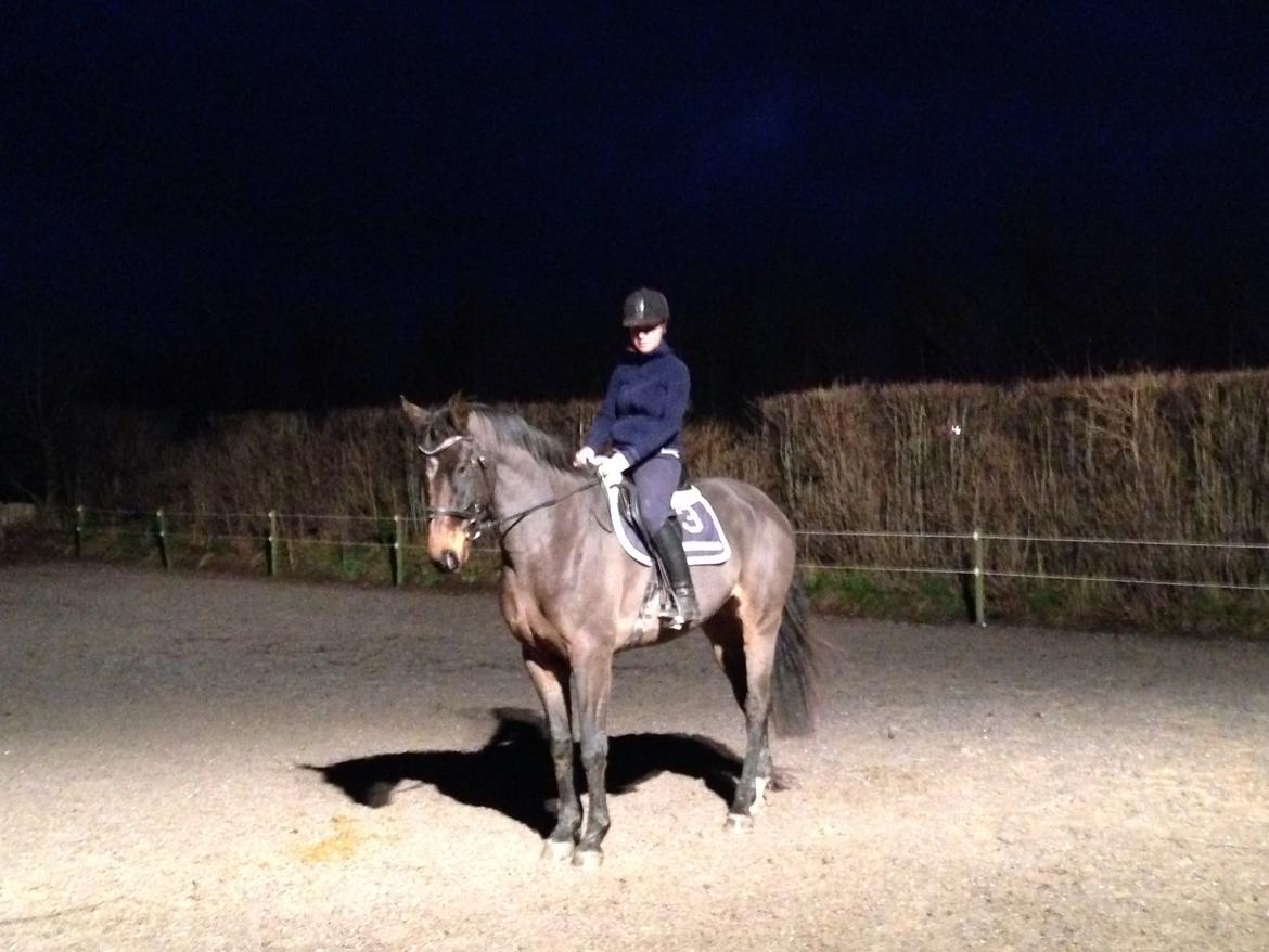 Dansk Varmblod Bakkegaardens Aslan (Tabasco) - Min første tur på Tabacso <3  billede 2