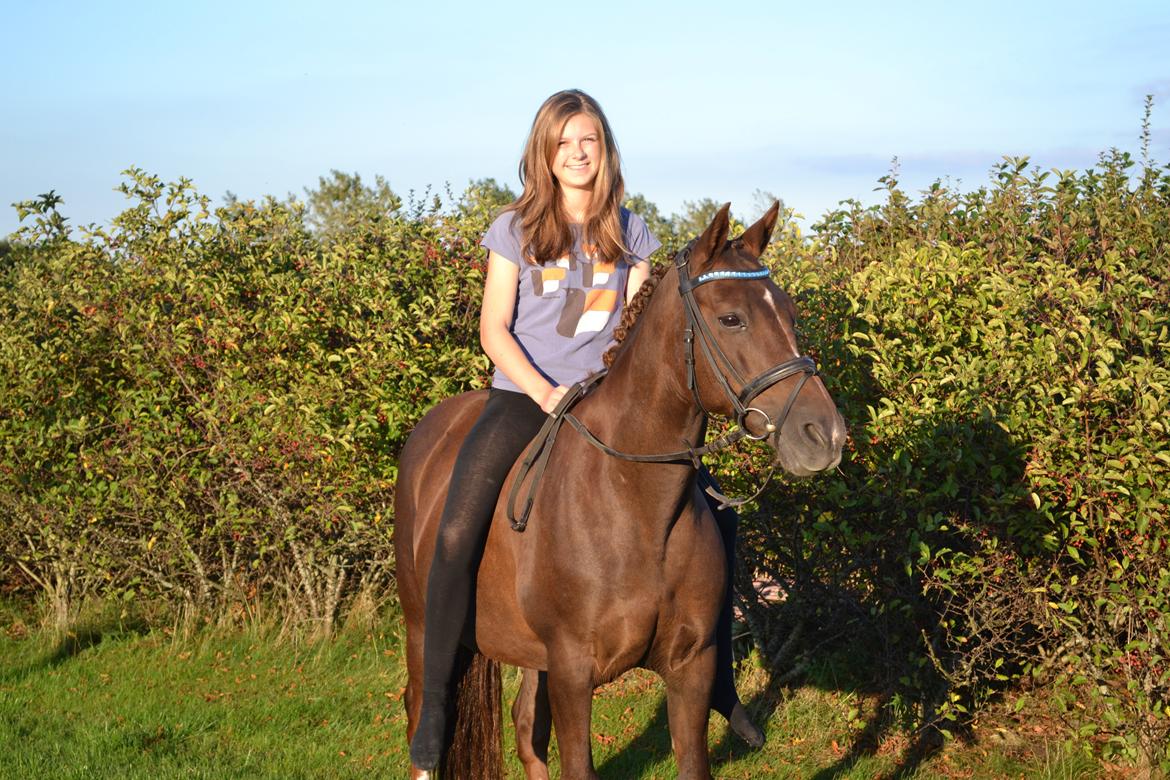 Anden særlig race Fabian - Skønt billede af en skøn pony <3 billede 28